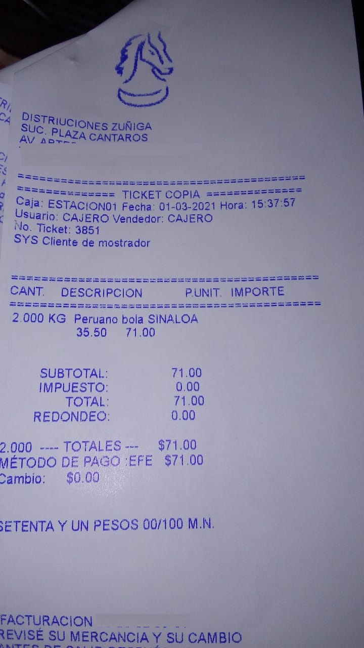 ticket con error de logo MyBusinessPOS